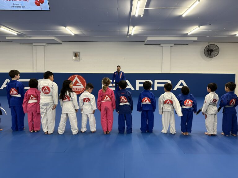 Jiu jitsu classes in artarmon