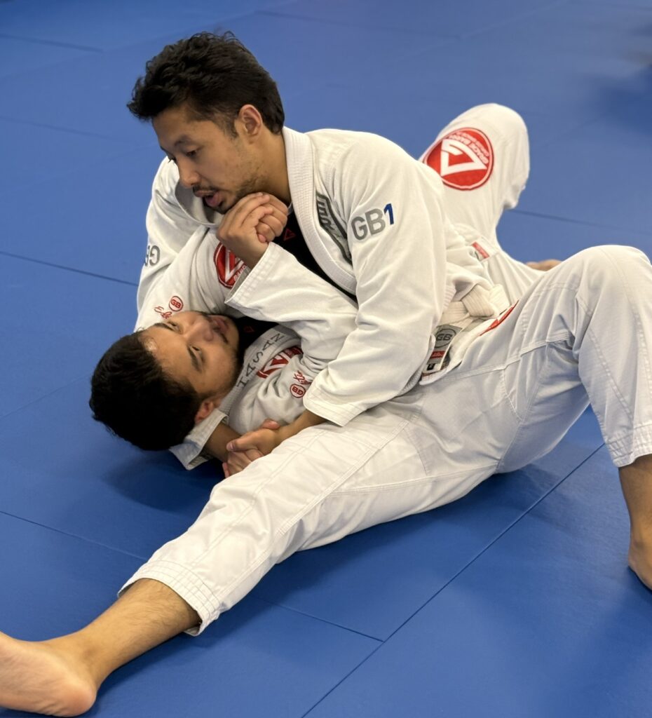 fighting bjj self defense